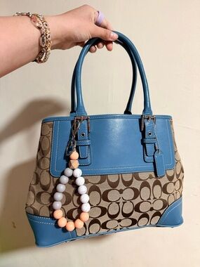 Coach Blue and Brown Signature Tote Bag